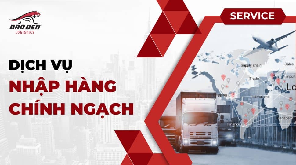 báo đen logistics