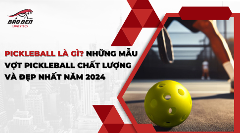 Pickleball là gì? Những mẫu vợt Pickleball chất lượng và đẹp nhất năm 2024
