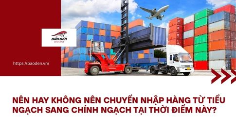 NÊN HAY KHÔNG NÊN CHUYỂN NHẬP HÀNG TỪ TIỂU NGẠCH SANG CHÍNH NGẠCH TẠI THỜI ĐIỂM NÀY?