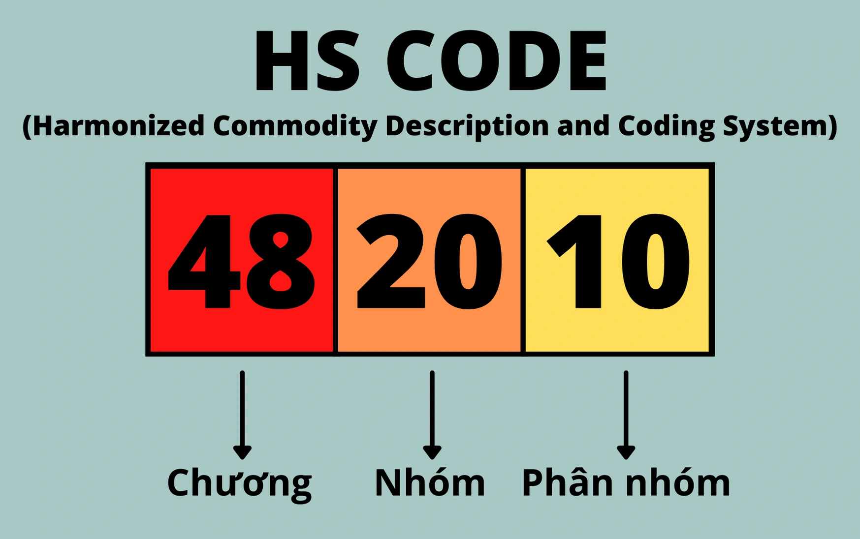 cau truc cua hs code